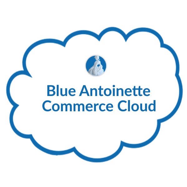Blue Antoinette - Premium Products and Global Services